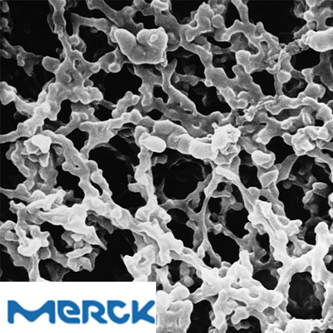 MF-Millipore Membrane Filter Mixed Cellulose Esters Hydrophilic 5.0 µm 47 mm White Plain 100 Merck