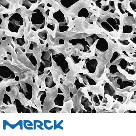 Durapore Membrane Filter PVDF Hydrophilic 0.45 µm 47 mm White Plain 100 Merck