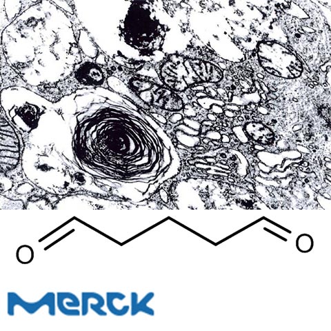 Glutardialdehyde Solution 25% For Electron Microscopy Merck