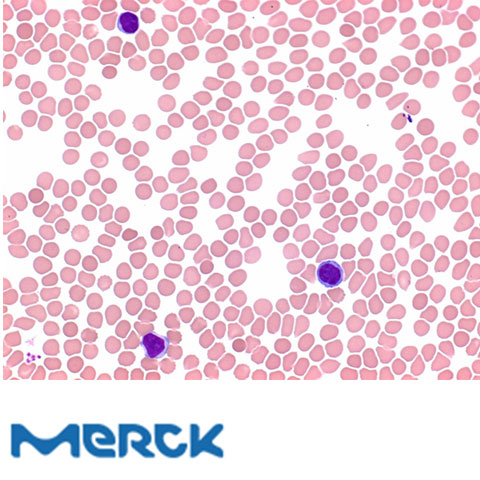 May-Grünwalds Eosine-Methylene Blue Solution Modified For Microscopy Merck