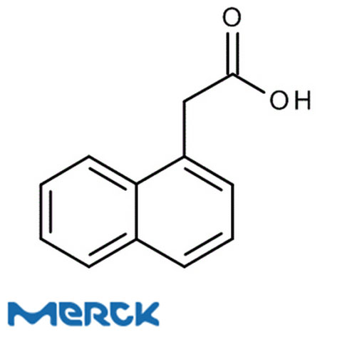 1-Naphthylacetic Acid For Synthesis Merck